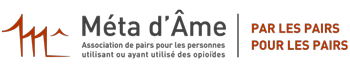 web-metadame_logo